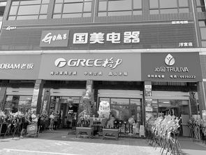 下沉市場家電連鎖換新顏，國美新零售店獲縣域老板點贊